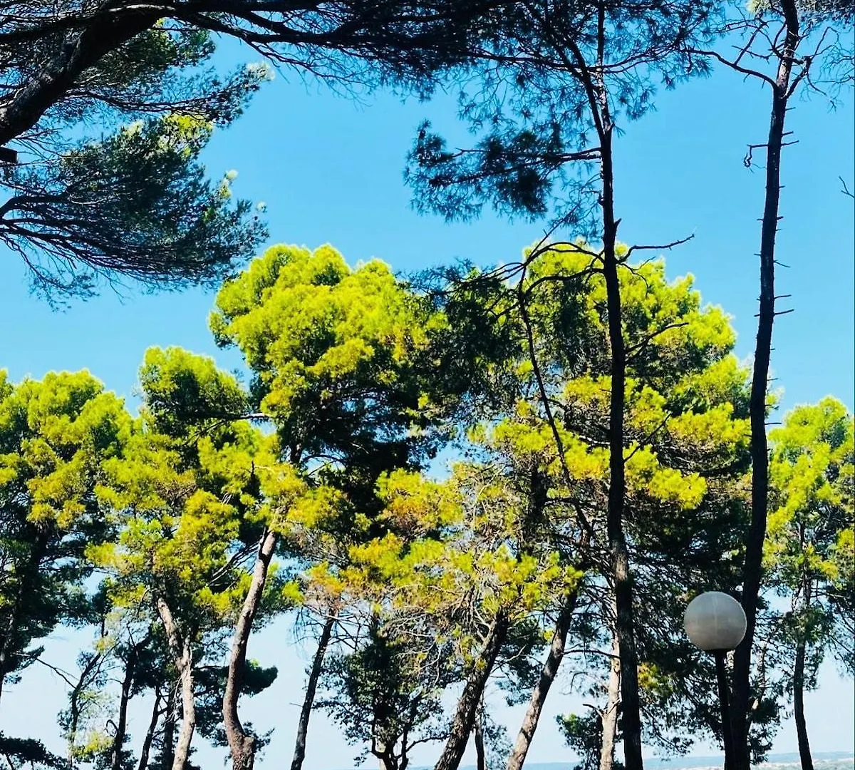 Villa Casa Oleandro à Marusici  Hébergement de vacances Marusici (Istria)