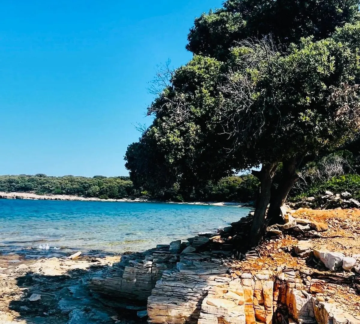 Hébergement de vacances Villa Casa Oleandro à Marusici  Croatie